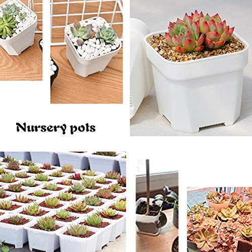 24 Pack 3 Inch White Square Plastic Plant Pots with Saucers,Nursery Seedling Pots with Drainage Hole,Small Planter Containers for Succulents,Flowers,Indoor Outdoor Garden,Home Office Balcony Decor - size: 24 Pack White