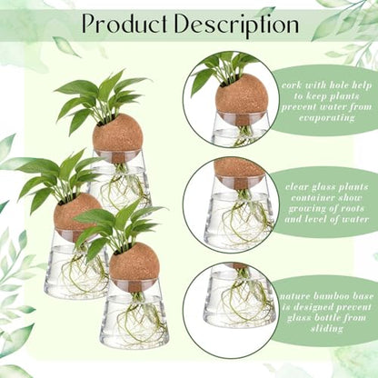 Baderke 3 Pcs 3.15 Inches Glass Plant Propagation Stations with Spherical Lid Glass Jars Plant Propagation Vases Hydroponic Spherical Cork Planter for Indoor Home Office Desktop Decor(Conical) - size: 3.15 Inches, style: Conical