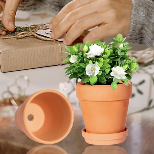 3 Inch Terracotta Pots with Saucer-20 Pack Succulent Cactus Plant Pots with Drainage Hole, Great for Plants Garden Windowsill Indoor & Outdoor Wedding Favors Gifts