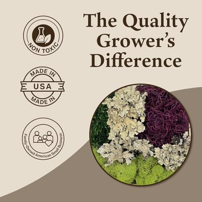 Quality Growers Variety Mix Moss, Preserved Moss, Red Mix, Small 2-Pack - color: Red Mix, size: Small 2-pack