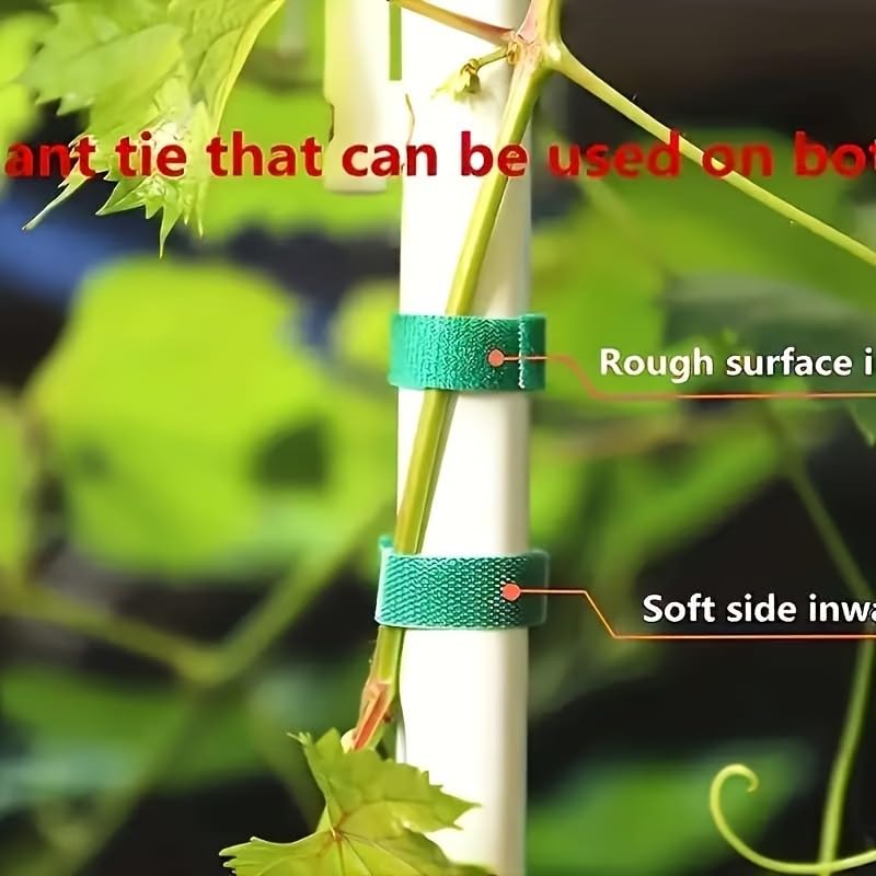 590.55 Inches / 3 Rolls Reusable Plant Ties - Green Flexible Support Straps for Vines, Flowers and Garden Plants - Ideal for Indoor and Outdoor Use, The Top Choice for Gardening Enthusiasts