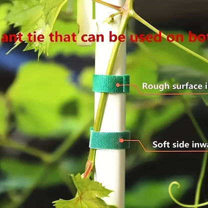 590.55 Inches / 3 Rolls Reusable Plant Ties - Green Flexible Support Straps for Vines, Flowers and Garden Plants - Ideal for Indoor and Outdoor Use, The Top Choice for Gardening Enthusiasts