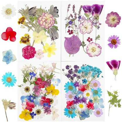 Cayway 4 Pack Pressed Flowers Natural Dried Flowers Colorful Resin Flowers Real Pressed Flowers for Resin Scrapbook DIY Art Crafts, Epoxy Resin Jewelry, Card Making Supplies, Style H - color: 4 Pack Pressed Flowers C