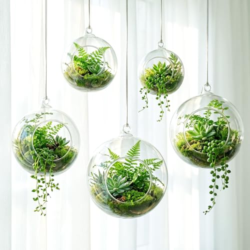 SiliFine 5 Pack Varied Sizes Hanging Glass Terrarium Planter 2.36" to 5.91"