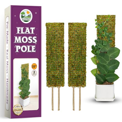 2 Pack 22" Flat Mesh Moss Poles, Pre-Made & Easy to Set Up | Moss Pole for Shingling and Climbing Plants with Real Moss, Handmade Moss Stick, Plant Stakes for Indoor Potted Plants - color: Flat Moss Pole