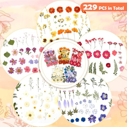 269 PCS Dried Pressed Flowers for Resin Crafts, Bulk Real Nature Pressed Flowers Set Dried Wildflowers Leaves with Butterfly Stickers Tweezers for Jewelry Making DIY Scrapbook Floral Frame Decors - size: 269 Pcs Dried Flowers with Butterfky