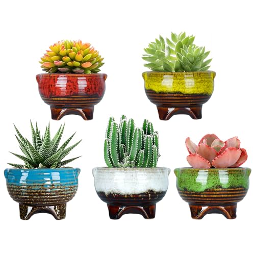 Succulent Pots, 4 Inch Small Ceramic Pots for Indoor Plants - color: 4" (5pcs)