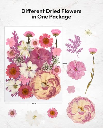 Dried Flowers, Resiners 100Pcs Pressed Flowers for Craft Baby Pink Real Natural Dried Flowers Dry Leaves Kit for DIY Making Crafts Resin Soap Candle Scrapbook Supplies Card Making Jewelry - color: Light Pink 100pcs