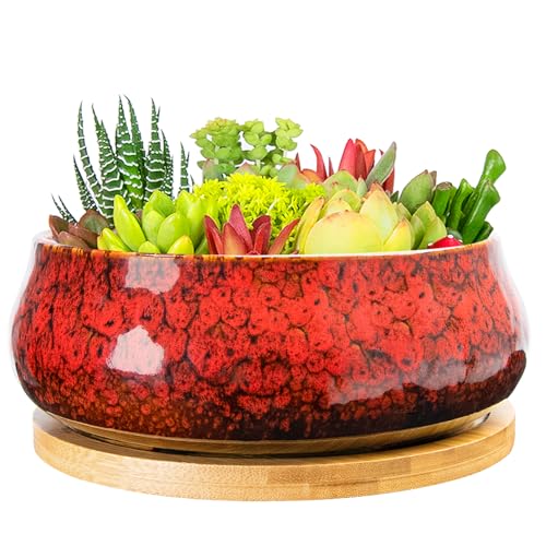 ARTKETTY Succulent Pots with Drainage, 8 Inch Ceramic Bonsai Pots with Tray | Ceramic Planters for Indoor Plants, Round Shallow Cactus Flower Plant Container Bowl Decorative Home Garden - color: Red