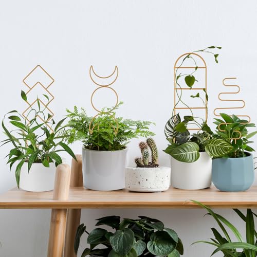 Wellsign 16inch Indoor Plant Trellis for Potted Plants | 4Pack Gold Small Trellis for Climbing Plants Outdoor Garden Metal Trellis with Different Patterns for Vine Ivy Flower Plant - size: Gold-Metal-Trellis01