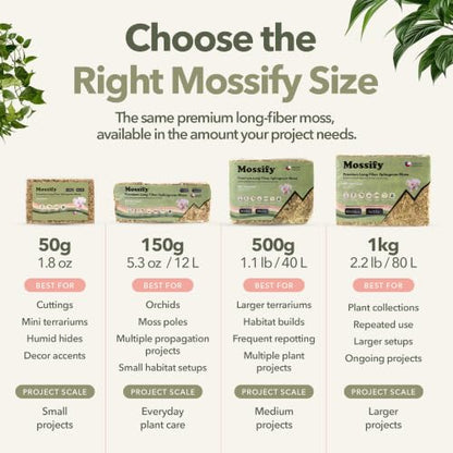 Mossify Sphagnum Moss for Plants, 1kg 2.2 lbs | Long Fiber Moss, Indoor, Orchids, Terrariums, Gardening, Reptiles, Moisture Plant, Propagation, Soil, Habitat Bedding - size: 1kg (2.2 lbs)