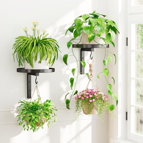 iDavosic.ly Plant Wall Hanger Holder Set of 2 for Indoor Outdoor, Black - color: Black, size: 2 Pack