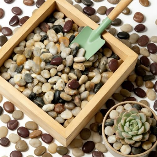 6Lb Lightly Polished Multi-Color River Rocks,7/8 Inch Pebbles - size: 6lb, style: colorful