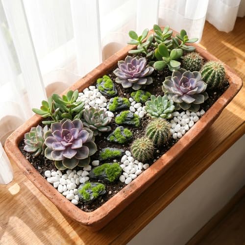 Miniature Moss Stones for Terrarium - Tree Bark Diorama Rocks for Miniature Terrain Display - Lightweight Reptile Habitat Decor - NOT for Aquarium Underwater Use - 24 Pcs Flocking-Covered (1-2 inch) - style: 24P Flocking Slate Rocks (Wooden)