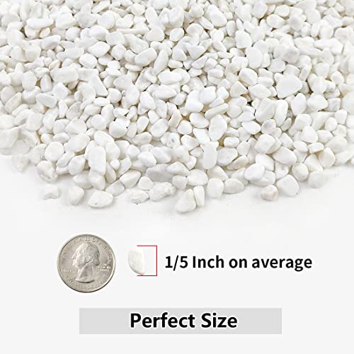 YISZM 5LB Succulent and Cactus Gravel Pebbles, 1/5 Inch White Stones - color: White, size: 5 Pounds