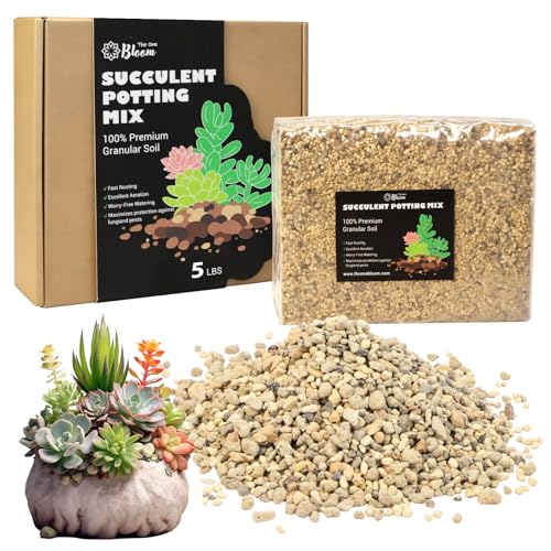 Succulent & Cactus Potting Soil Mix, Well-Draining Indoor Potting Soil with Akadama, Kanuma, Pumice, Zeolite & Activated Charcoal, Premium Plant Soil for Succulents and Cactus (5 lb) - size: 5 lb