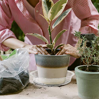 Rocutus Plant Saucer,20 Pack Plastic Plant Saucer Drip Trays Small Plant Plate Dish,Heavy Duty Clear Plastic Plant Saucers Flower Pot Tray Flower Pot Drip Pan for Indoor and Outdoor Plants (10 Inch) - size: 10 Inch