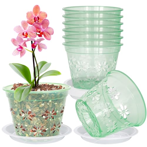 Orchid Pot, 5''(top diameter) x 3.6''H 8 pack Orchid Pots with Holes & Saucers, Clear Plastic Pot For Repotting, Breathable Ventilation Planters for Phalaenopsis, Dendrobium & Oncidium Orchids(green) - color: Green, size: 5'' x 3.6'' (8 pack)