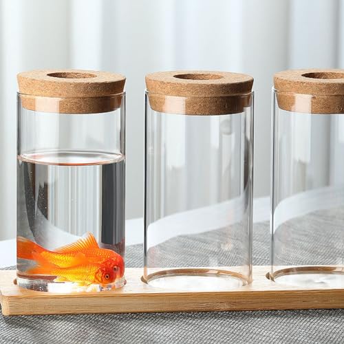 Clear Glass Planter Vase with Wooden Lid and Bamboo Stand for Hydroponic Plants, Succulents, Cut Flowers Gifts for Women Mom Plant Lovers (1, 2.55 * 3.93inch)