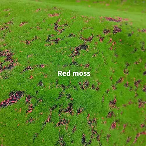 Maxmartt Fake Moss for Crafts 39" x 39" Faux Moss Mat for Plants Indoor Green Artificial Moss Rug for Decorating Planters Crafts DIY Table Centerpieces Fairy Garden Floral Wedding 100 x 100cm
