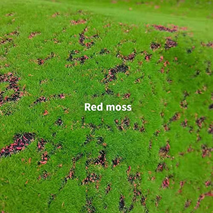Maxmartt Fake Moss for Crafts 39" x 39" Faux Moss Mat for Plants Indoor Green Artificial Moss Rug for Decorating Planters Crafts DIY Table Centerpieces Fairy Garden Floral Wedding 100 x 100cm
