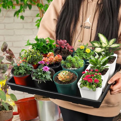RooTrimmer 10 Pack Nursery Pots Trays (17"x11"x2"), Plastic Flat Seed Starter Trays, Durable Carrying Seedling Starter Tray, Reusable Tray for Planting and Collecting Drainage Water (Black) - color: Black, size: Holding Trays-10P