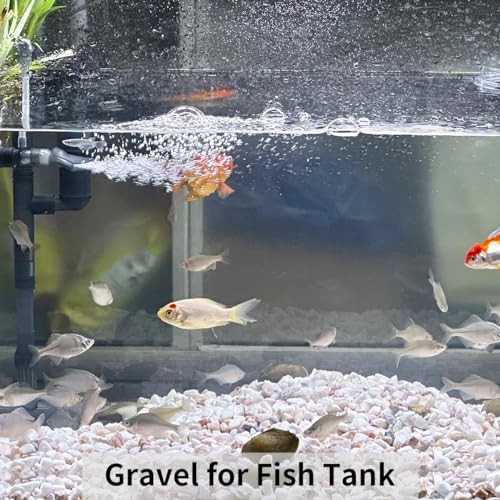FANTIAN 2 lbs White Rocks for Plants, 3/8 Inch Aquarium Gravel, Pea Gravel - color: White Gravel