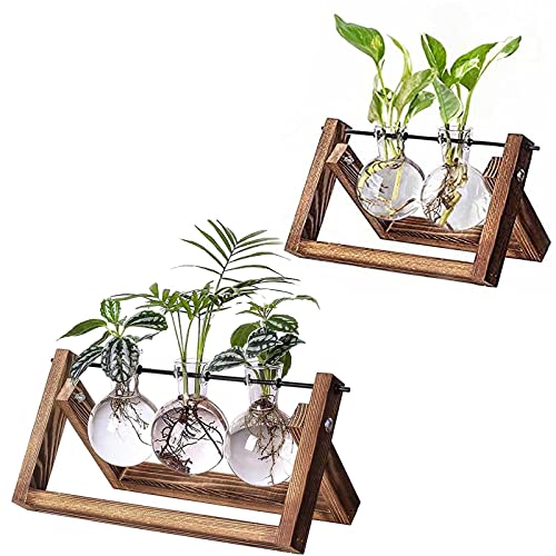 Kingbuy Plant Propagation Station 3 Bulb Plant Vases and 2 Bulb Plant Holder with Retro Wooden Stand for Hydroponics Indoor Office Desktop Home Decor