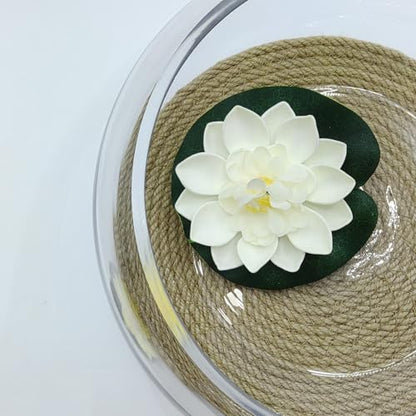 8" Round Glass Lotus Bowl Planter with Rattan Mat, Clear Indoor Hydroponic Water Lily Pot for Aquatic Plants, Bonsai & Lotus Flowers, Decorative Terrarium Bowl Vase, Fish Tank - size: 8 Inch