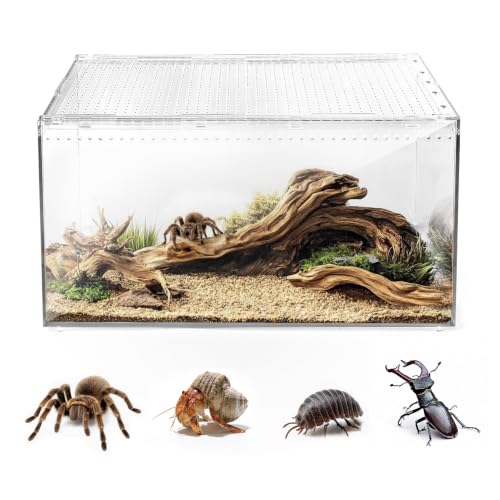 AZV Escape Proof Tarantula Enclosure,Polycarbonate Hermit Crabs Tank XLarge - size: XLarge(15.74*9.84*7.87inch)