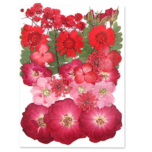Augshy Red Dried Pressed Flowers, Pressed Red Roses Dried Flowers for Resin Molds Jewelry Nail Art Craft DIY - color: Red