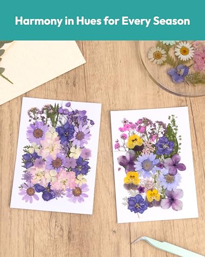 Dried Flowers, Resiners 58Pcs Pressed Flowers for Craft Purple Real Natural Dried Flowers Dry Leaves Kit for DIY Making Crafts Resin Soap Candle Scrapbook Supplies Card Making Jewelry - color: Violet 58pcs