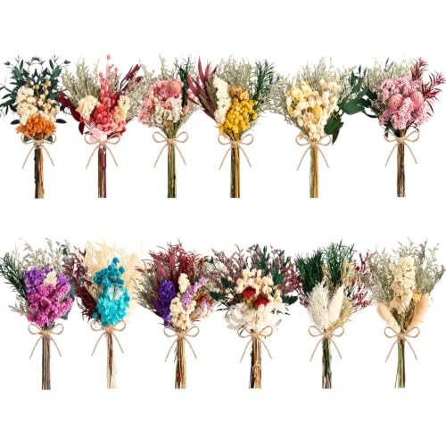12/24PCS Handmade Dried Flower Bouquet with Stems Natural Dried Wildflowers 7.5 Inch Mini Dry Flowers for Vase Farmhouse Decor, Wedding Styling, Photography Props, Gift DIY(12pcs, Colorful) - color: Colorful