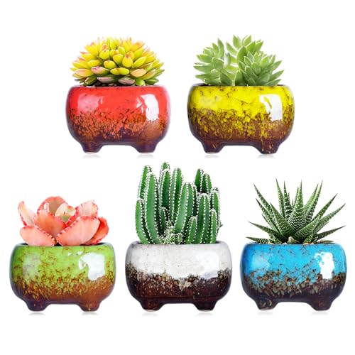 ARTKETTY Succulent Pots, 4.7 Inch Small Plant Pots with Drainage Pack of 5 - color: 4.7"-rectangular(5pcs)