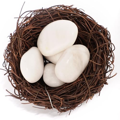 11LB River Pebbles Polished Gravel for Plants Natural White Plant Stones River Rocks 3/4-1 5/8 Inch River Stones for Landscaping Small Pebbles for Crafts - size: 11lb, style: White