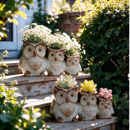 Owl Planter,Ceramic Succulent Pots with Drainage Hole,2 Pcs | Unique Decorative Animal Statue Ceramics Plant Pot,Desk Shelf Patio Table Decor,Gift For Women Mother Teacher