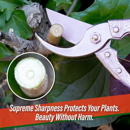 SUIZAN Bypass Pruning Shears 8" - Japanese Hand Pruners Garden Scissors | Professional Secateurs Clippers for Roses Flowers Fruit Trees Deadheading Lightweight Forged Aluminum Handle Gardening Tools - style: 8 Inch (200mm) Aluminum Handle Pruner