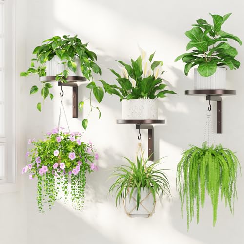 LASZOLA Plant Hanger Holder Window Shelf Wall Mounted Indoor, 3 Pcs Brown - color: Standard Bronze, size: 3