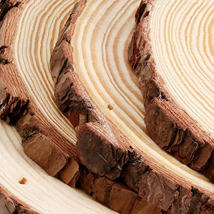 JEUIHAU 12 PCS 5.5-5.9 Inches Natural Wood Slices with Holes, Unfinished Predrilled Wooden Circles Tree Bark Slice, Blank Wooden Log Circles for DIY Crafts, Arts Wood Slices, Christmas Ornaments - size: 12 PCS 5.5-5.9 In with Holes