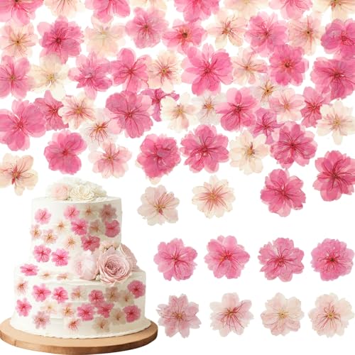 96 Pcs Pressed Edible Flowers, Pink, Flower Style | Natural Dried Flowers for Cake Topper Cupcake, Cocktails Garnish, Resin Jewelry DIY, Soap, Candle Making Art Crafts - color: Pink, style: Flower Style