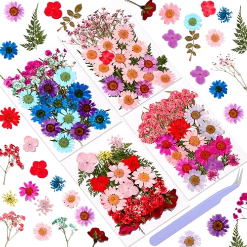 Natural Pressed Dried Flowers | Perfect for Resin Crafting, Art Projects, Scrapbooking, Nail Art, and Home Decor | Premium Preserved Petals & Leaves - color: Purple