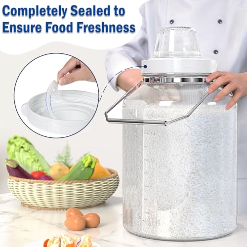 5 Gallon Glass Storage Jar with Airtight Lid, Stainless Steel Handles | 6.4" Wide Mouth, Quart & Liter Marks, Measuring Cup Included, Large Storage Container for Rice, Dog Food & Treats, Dry Food