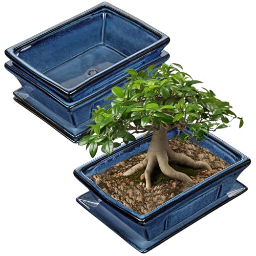 Villa Como Set of 2 Large Bonsai Pots with Drainage Tray, 10" | Blue Glazed Ceramic Bonsai Tree Pots, Shallow Rectangle Bonsai Planter for Indoor Outdoor Plants, Succulents, Cactus, Flowers - color: Blue, size: 10"x7.4"x3.1"