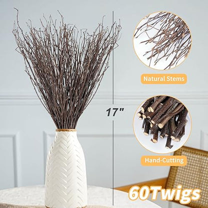 60Pcs Real Dried Birch Twigs Branches 16 Natural Decorative Birch Branches - size: 60