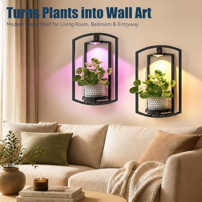 Wall Plant Holder with Remote Grow Lights, Framed Plants Holder for Indoor Plants Wall Decor, Living Room Plant Stand, Window Plant Shelves, 1 Pack