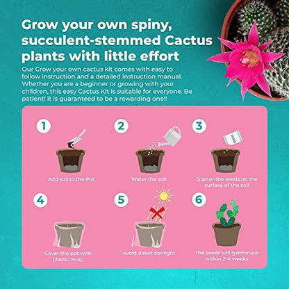 Cactus Kit Grow Your Own Cactus Seeds Starter Kit | Plants, Seeds & Bulbs | Easily Grow Beautiful Varieties of Cactus Plants with Complete Beginner Indoor Cacti Kit – House Plant - Men Women Gifts