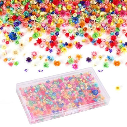 Resin Dried Flowers, DyAi 400Pcs Mini Dried Natural Pressed Flowers, Brazilian Daisies for Crafts Resin Filler, Soap Candles Making, Bookmarks, DIY Epoxy Earrings Jewelry Crafts