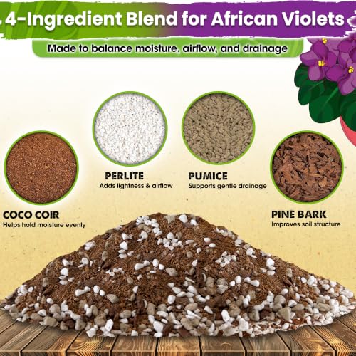 4in1 African Violet Potting Soil, Pre-Mixed & Ready to Use, 1 QRT | African Violet Soil Blend with Perlite, Coco Coir, Pumice & Pine Bark for Balanced Moisture, Root Airflow & Gentle Drainage - size: 1 Quart