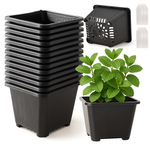 25 Packs Square Nursery Pots for Plants 3.5 Inch Seedling Pots with Holes | Lightweight plastic construction; assorted sizes for propagation and transplanting; stackable profile for compact storage - size: 3.5 Inch