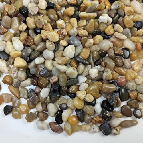 FANTIAN Pea Gravel for Landscaping, 10 lbs Aquarium Gravel Rocks, 1/4 Inch | Natural Polished Pebbles for Plants, Decorative Stones River Rocks for Succulent Soil Cover, Fish Tank, Vase, Outdoor Garden - size: 10 pounds, style: Natural